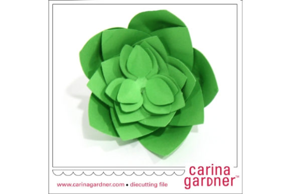 Single Succulent: A Comprehensive Evaluation of the SVG and PNG Design Package